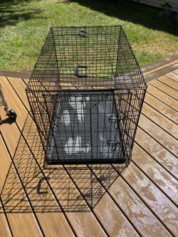 Medium Dog Cage