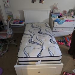 Kids TWIN Bed