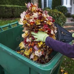 Spring Clean Up