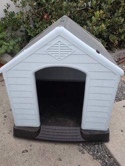 Dog's house. Dog's tale