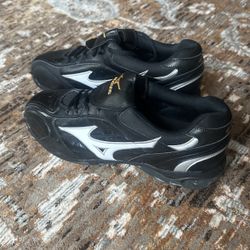 Mizuno Pro Baseball Cleats
