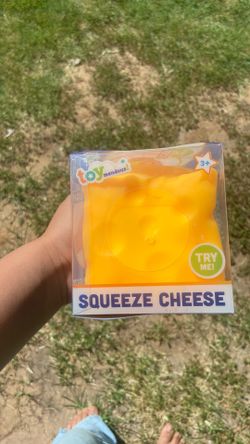 Cheese squishy