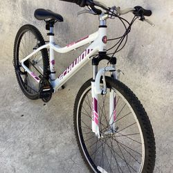 SCHWINN RANGER MOUNTAIN BIKE 21 SPEED SMALL