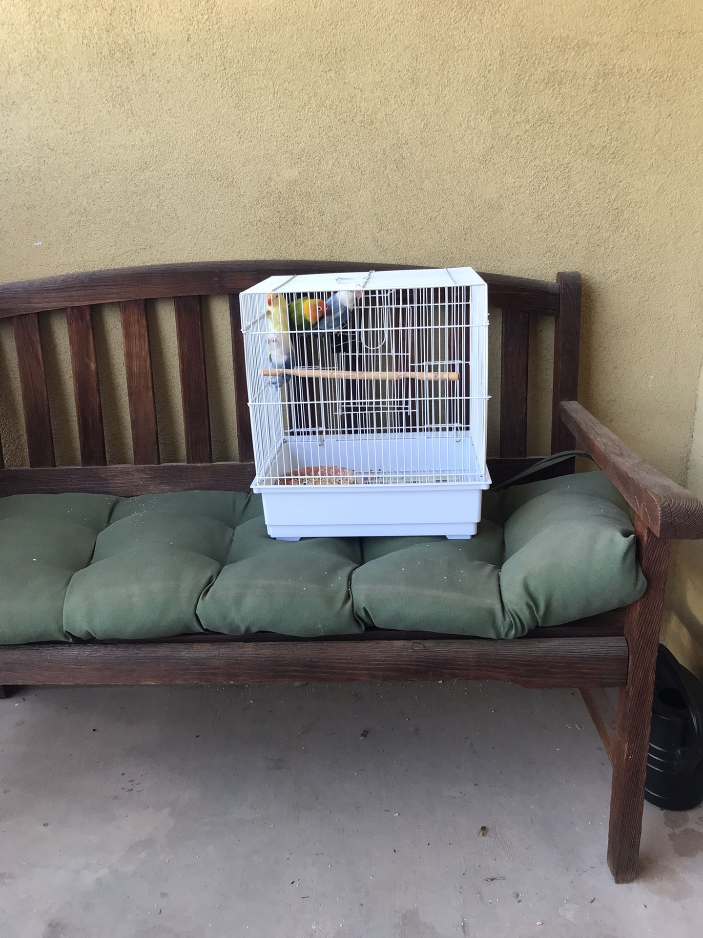 Birds Cage