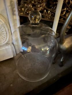 Glass Cloche 