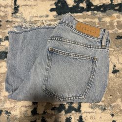Pacsun Shorts 