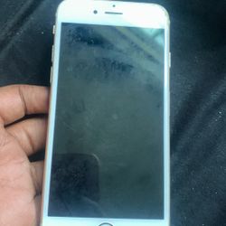 iPhone 6 