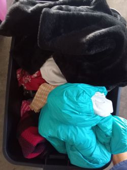 Clothes