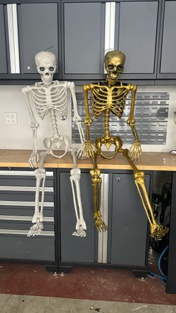 Halloween Skeleton Decor