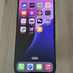 Excellent Condition 256 GB iPhone 13 Pro Max Unlocked