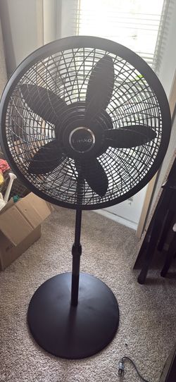 Standing Fan