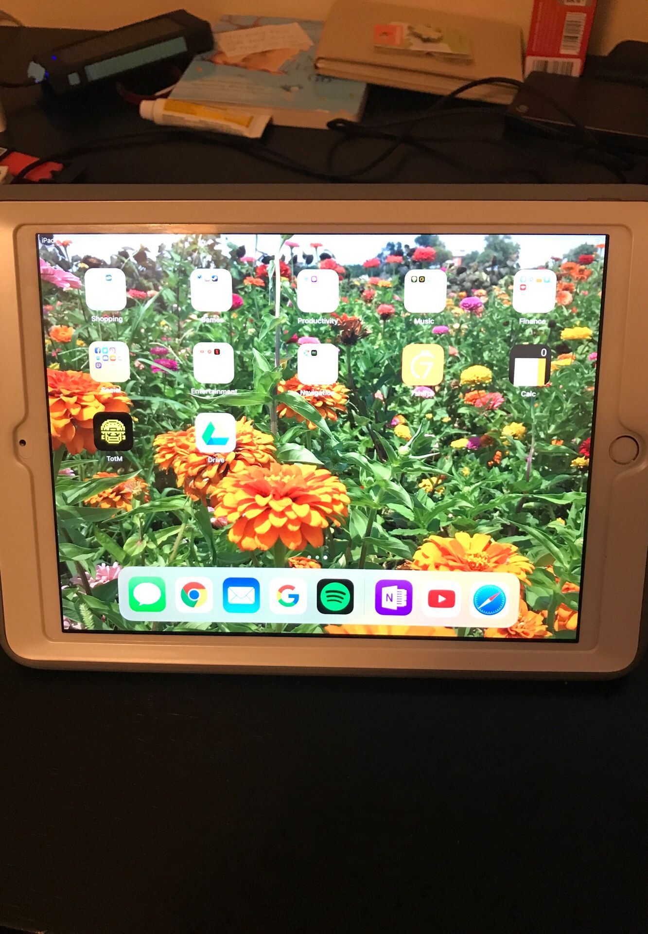 iPad w/ Case