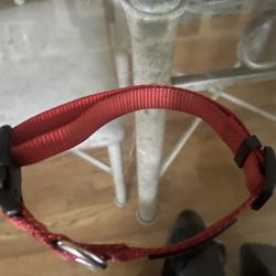 DOG’S COLLAR $12 Or MAKE AN OFFER 