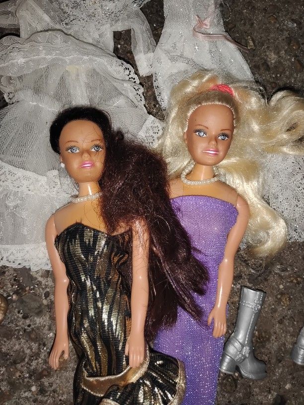 Two Barbies One Dress