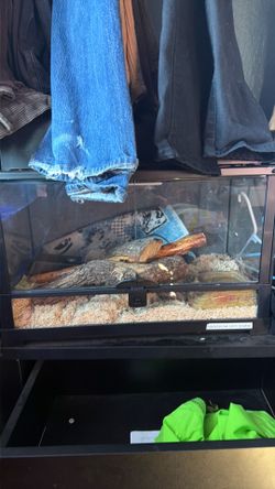 10 gallon snake cage
