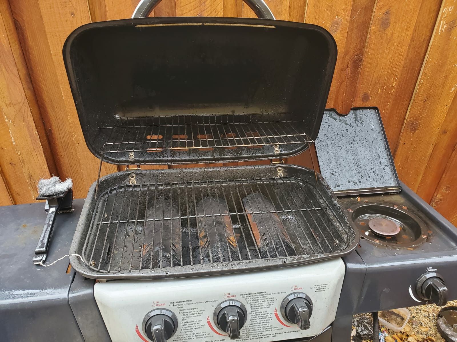 Bbq grill electric and charcoal