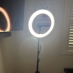 Neewer Ring Light Kit w/ Stand + Phone Holder – Bright, Like New – $40