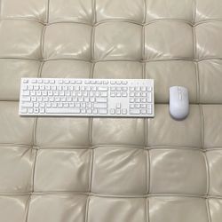  DELL Wireless Keyboard and USB Mouse!