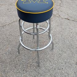 University Of Michigan Sitting In Style