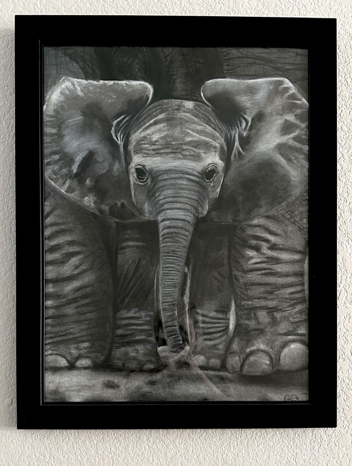 Framed Charcoal Elephant Drawing