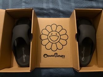 Surippa Ohana slides