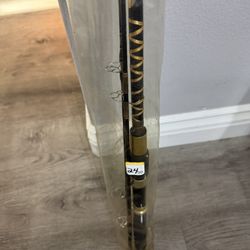 Fishing Pole 