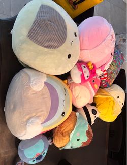 Free squishmellows lot