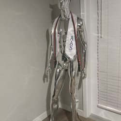 Silver Mannequin