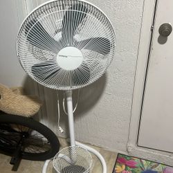 Fan 