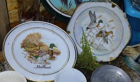 Duck Plates