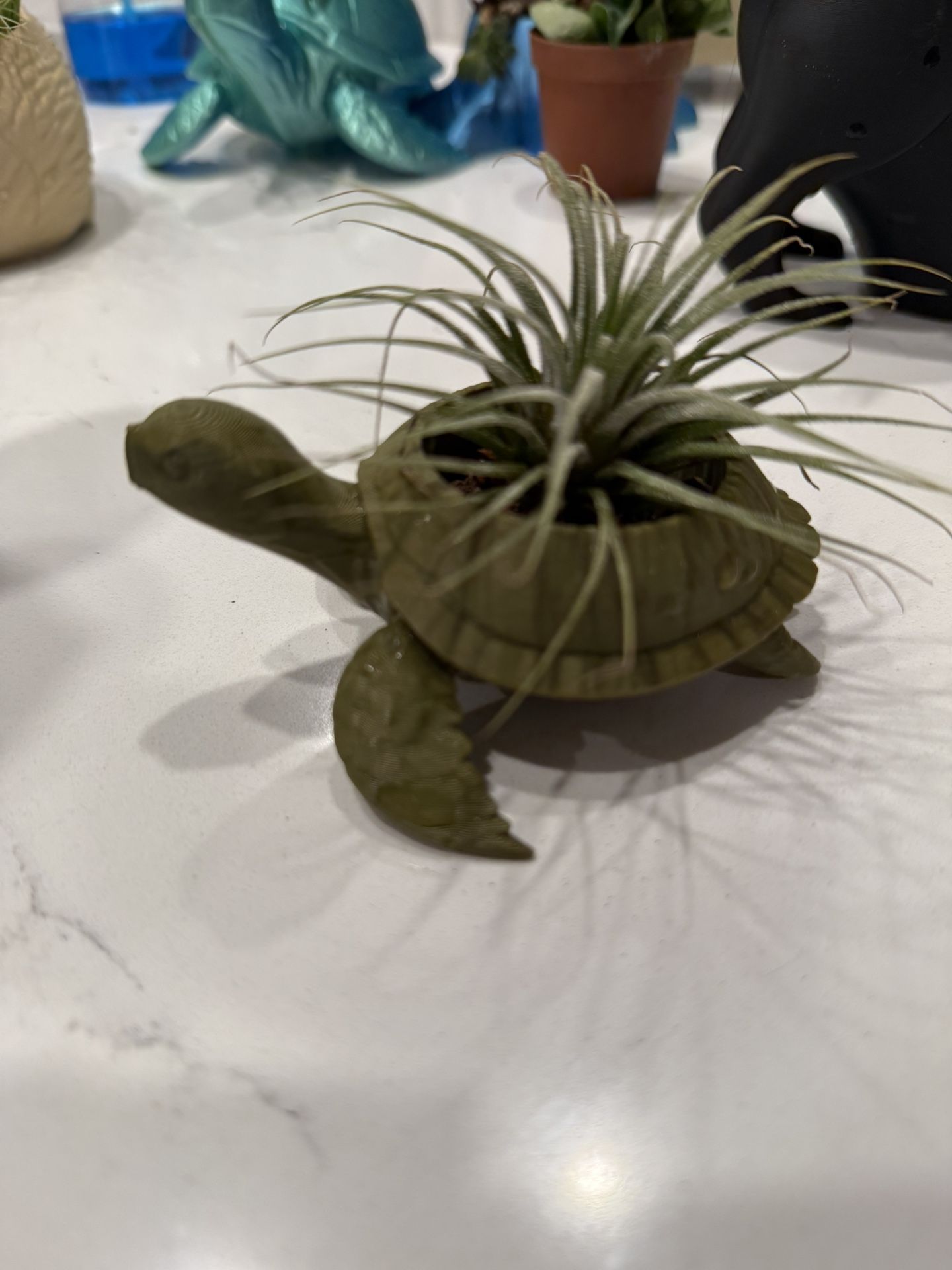 $12 Planters With Plants