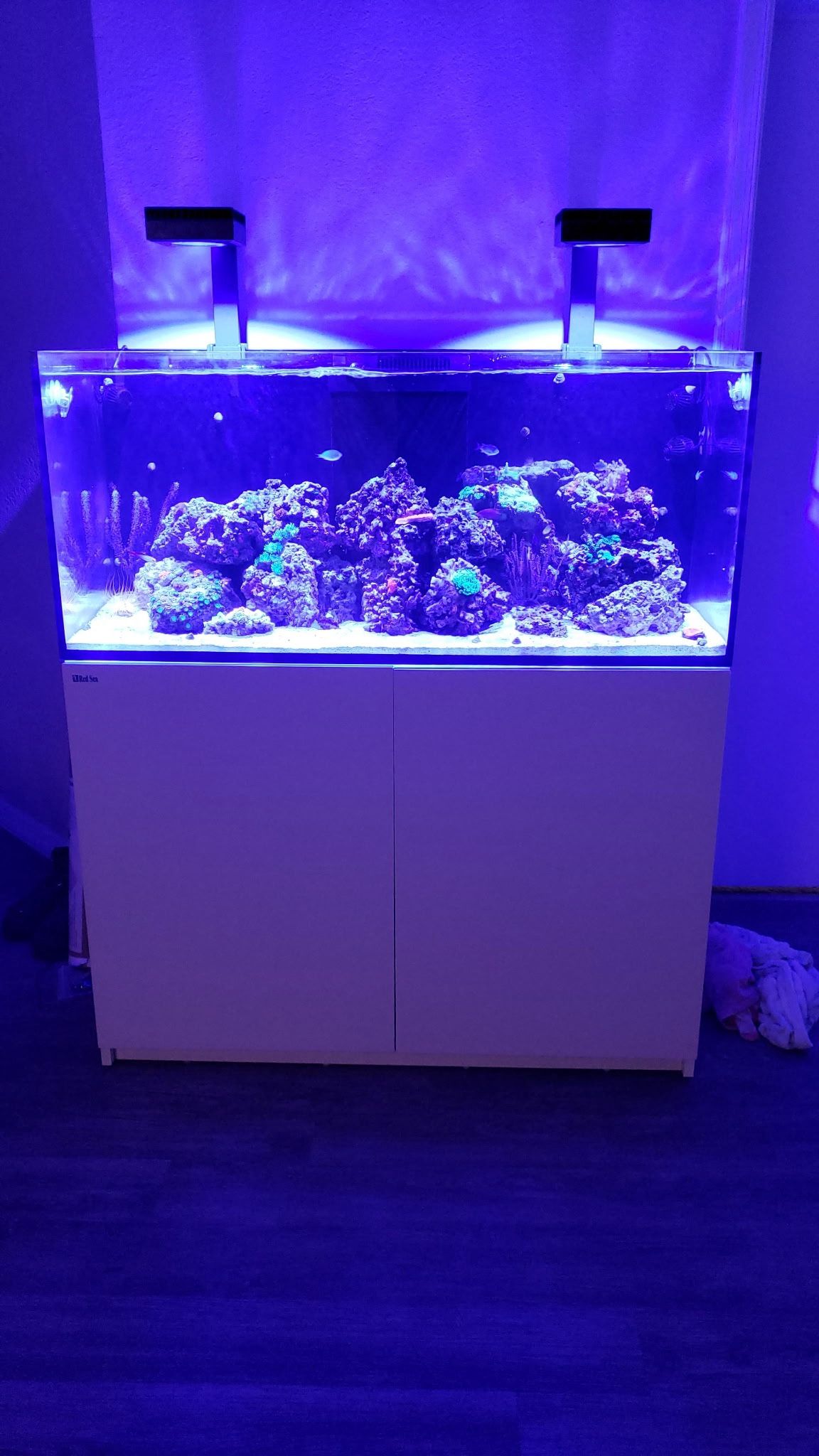 Red Sea Reefer 350 Aquarium Saltwater Fishtank