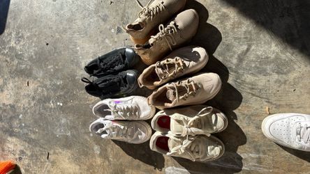 Shoes  Adidas Puma Converse Steve Malden