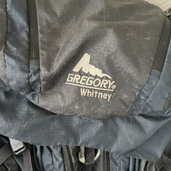 Gregory Whitney Medium Backpack