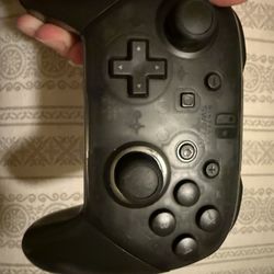 Nintendo Switch Pro Controller