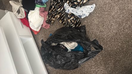 Women’s clothes bags