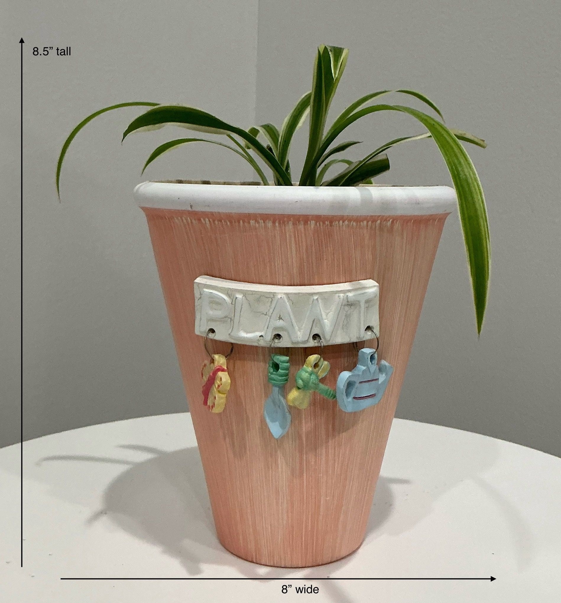 Live Variegated Spider Plant in a Shabby Coral Hermitage Cottage “Plant” Planter w Attached Charms