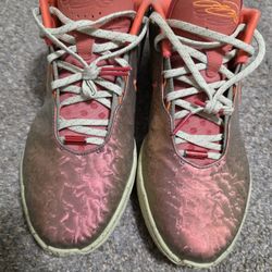 Nike LeBron 21 'Queen Conch Taking Offers!!!