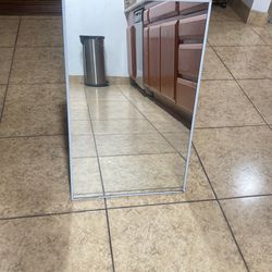 $20 For Trash And Mirror 