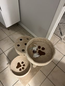 Cat Tree