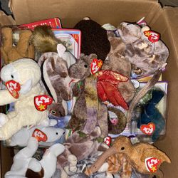 TY Beanie Baby Set Of 10