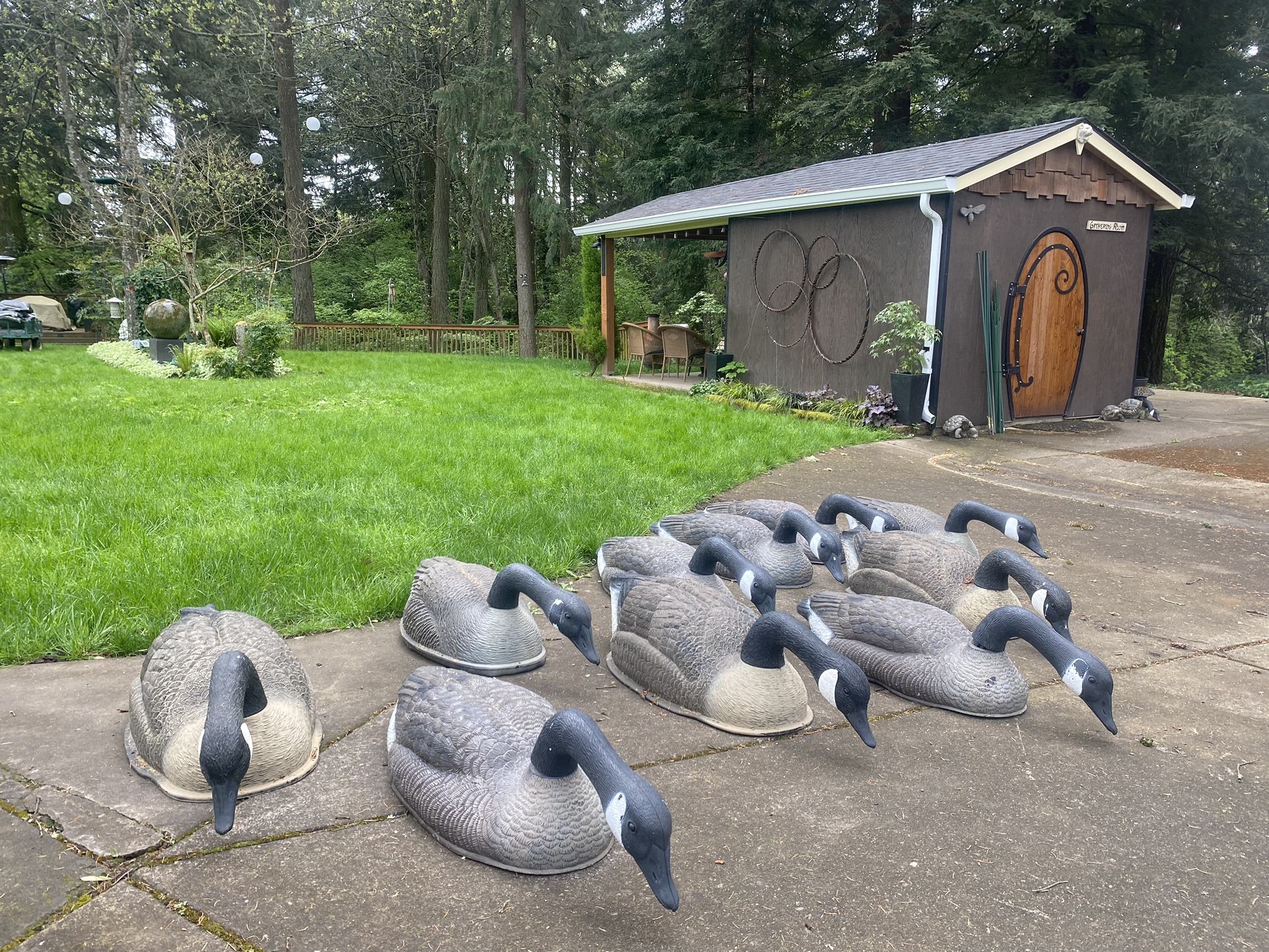 Goose Decoys 