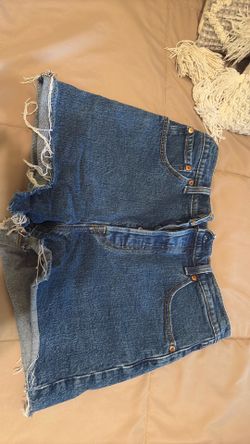 Ribcage shorts