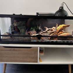 Reptile Tank 