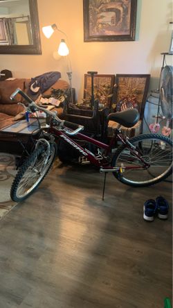 Pacific legend bike