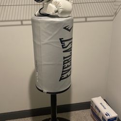 Boxing workout bag