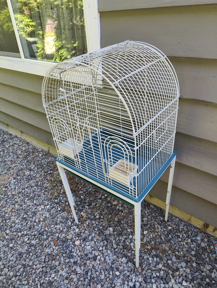 Bird Cage