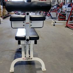 Cybex Adjustable Ab Decline Bench For Sale Or Trade 