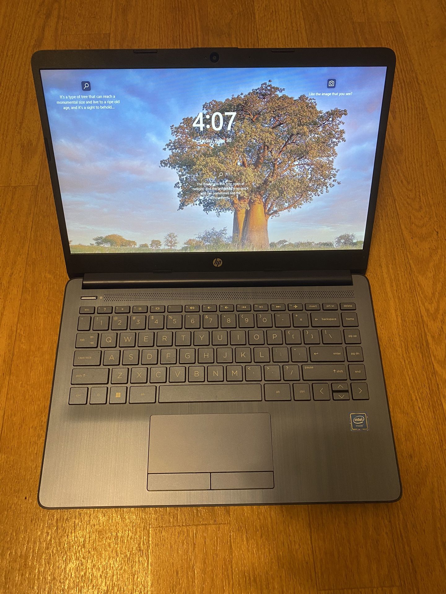 HP Laptop