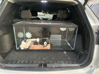 Terrarium